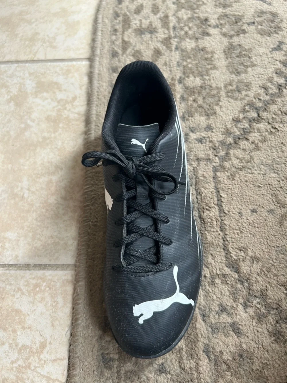 Puma low profile